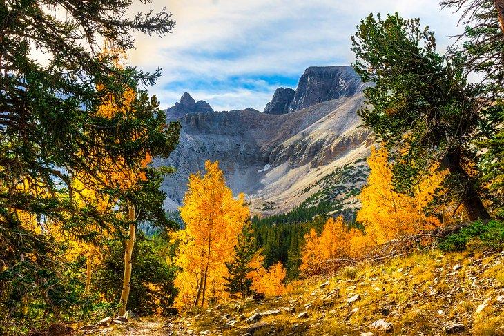 Parc national du Grand Bassin