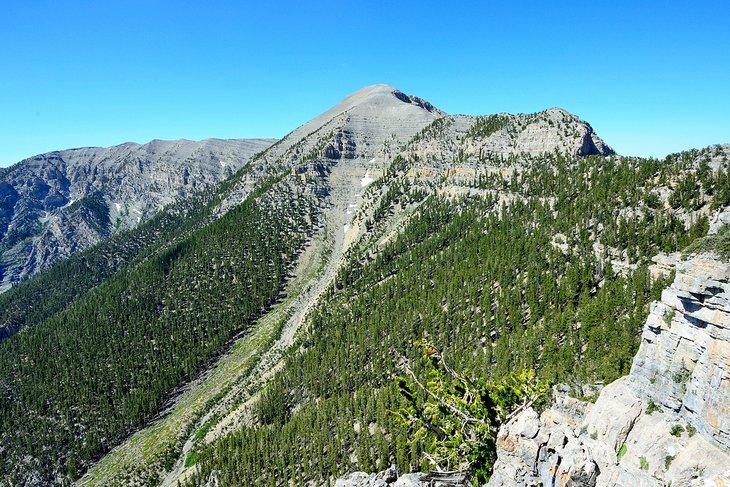Mont Charleston