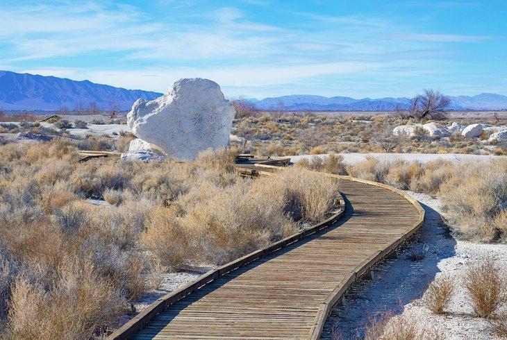 Promenade dans le refuge faunique national d'Ash Meadows