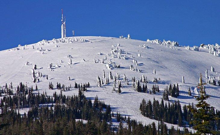 Parque de Esquí y Snowboard Mount Spokane