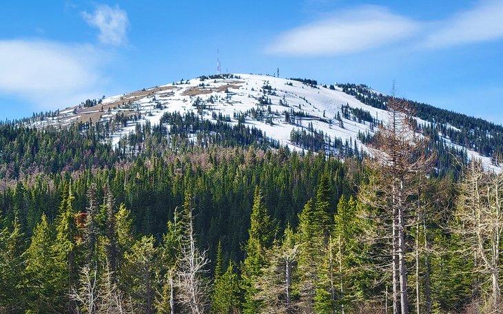 Parque Estatal Mount Spokane
