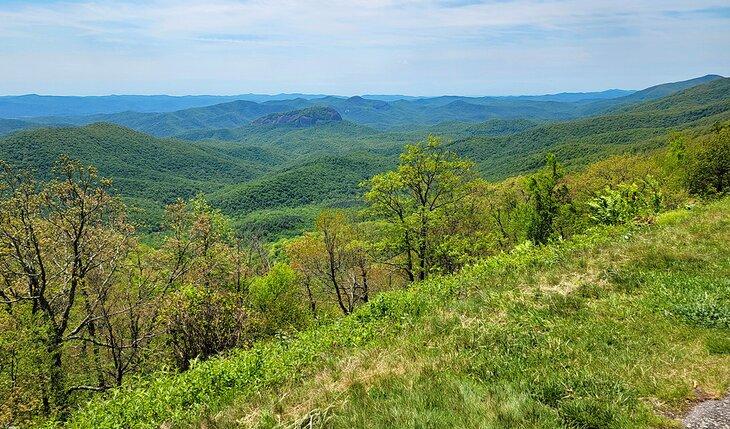 Primavera en el Blue Ridge Parkway