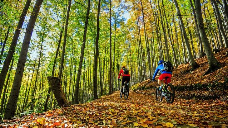 Ciclismo de montaña en otoño