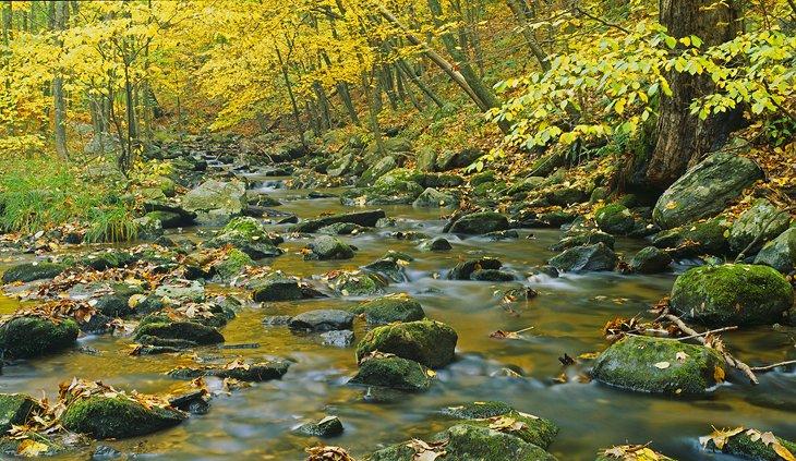 Parc d'État de Macedonia Brook
