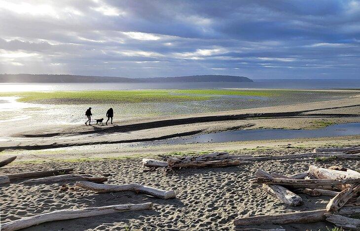 Playa Double Bluff en la Isla Whidbey