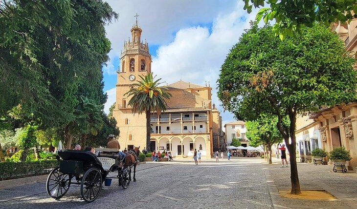 Pferd und Wagen vor Iglesia de Santa María La Mayor