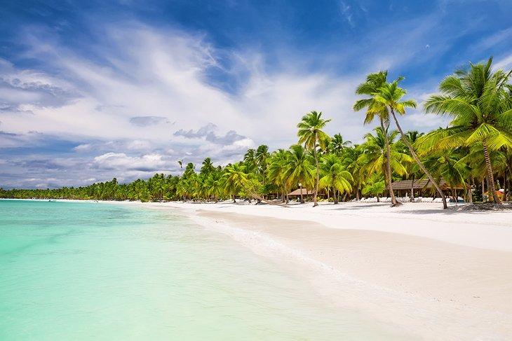 Playa bordeada de palmeras en Punta Cana