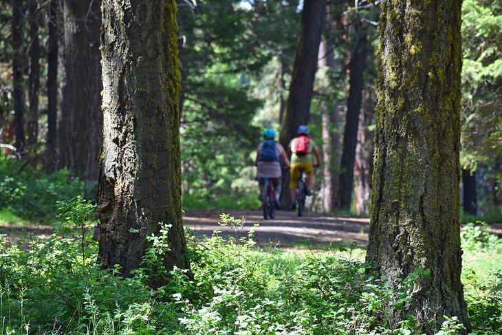 Ciclistas disfrutando de un paseo por el Parque Estatal Ponderosa