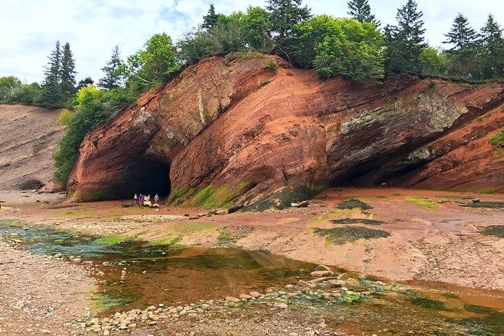 Cuevas marinas en St. Martins