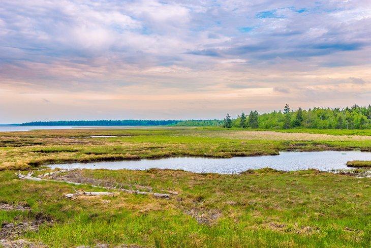 Parque Nacional Kouchibouguac