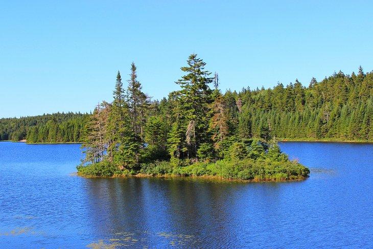 Isla en el Parque Nacional Fundy