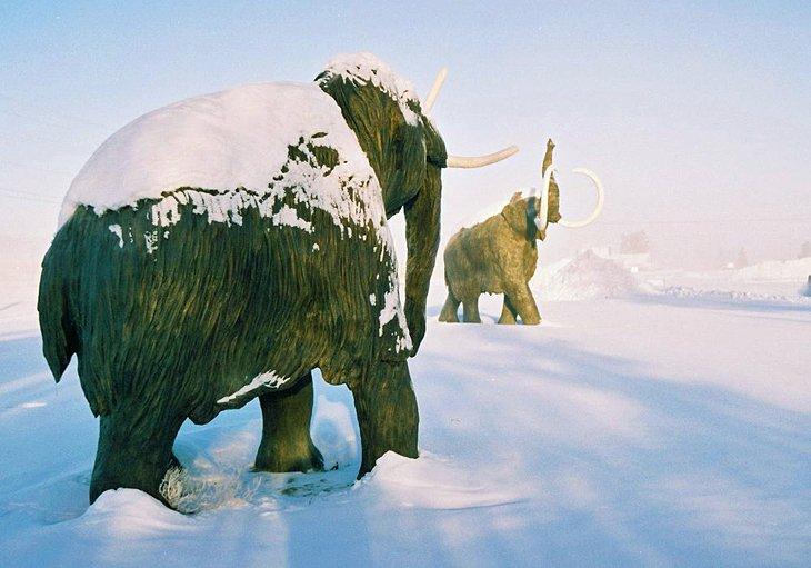 Centre d'interprétation du Yukon Beringia