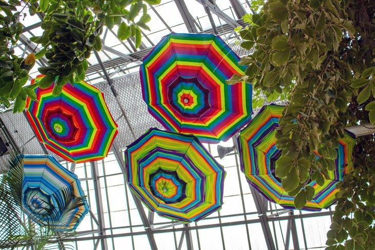 Krohn Conservatory