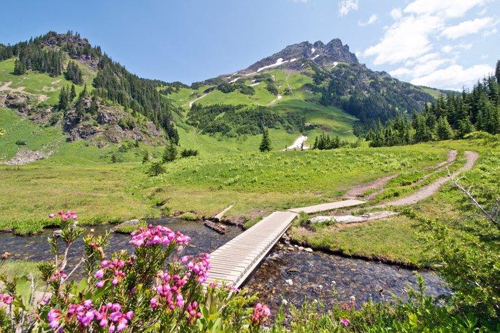 Sentier vers le Mont Cheam