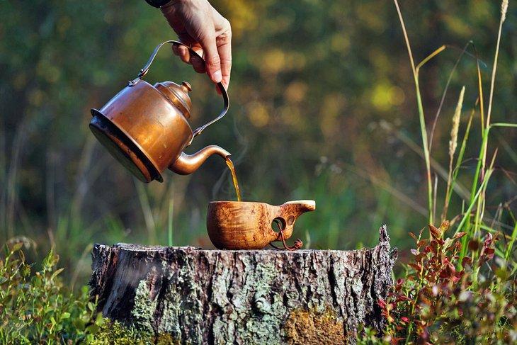 Vieille théière dans la forêt