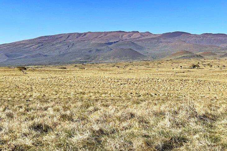 Blick auf Mauna Kea