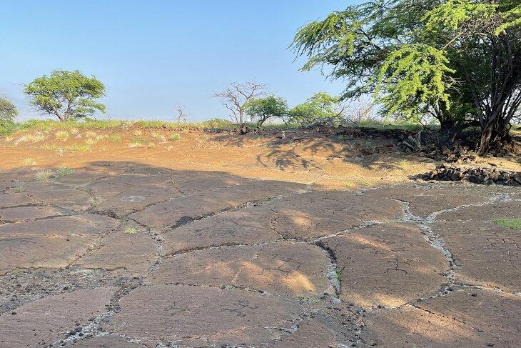Puakō Petroglyph Archaeological District