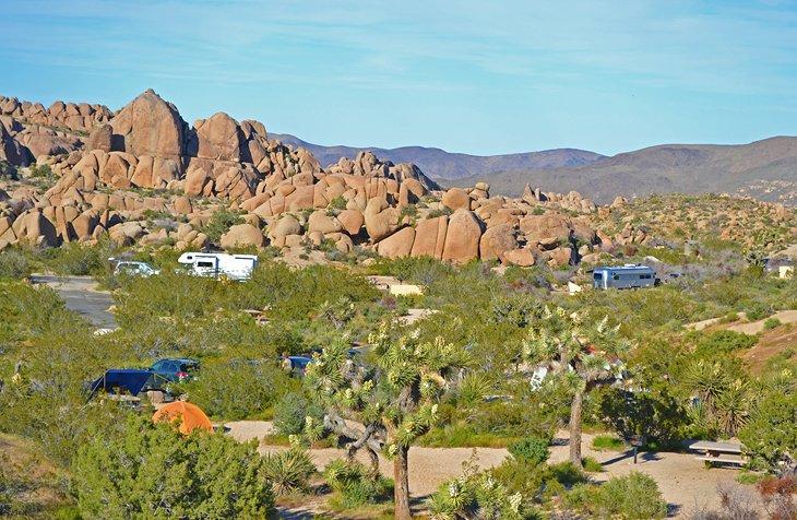 Camping Jumbo Rocks