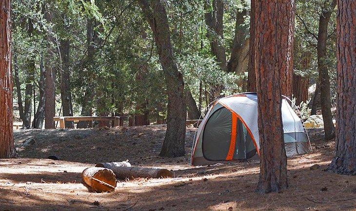 Camping Fern Basin