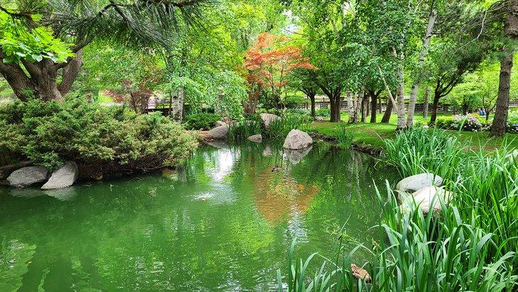 Un estanque en Kariya Park