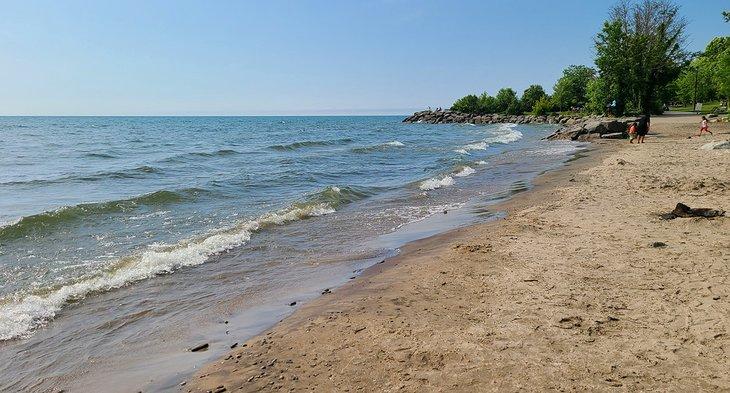 Una playa en Jack Darling Memorial Park