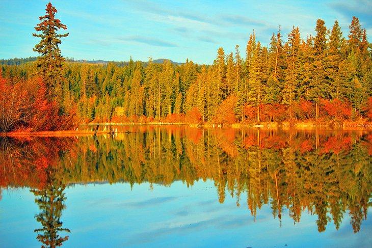 Colores de otoño en el Lago McConnell