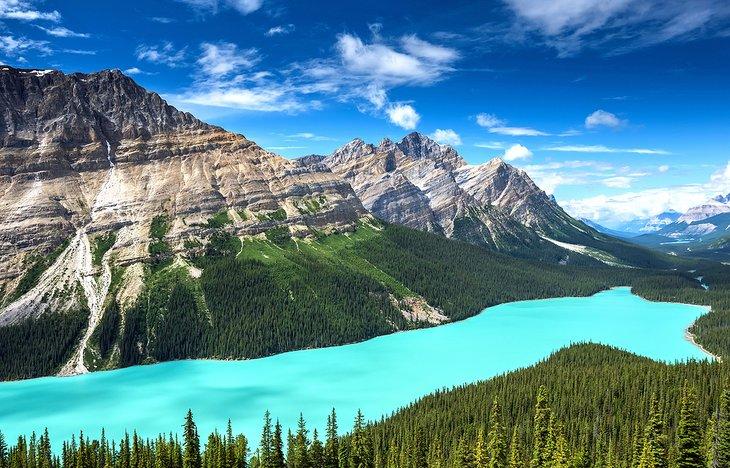 Lago Peyto