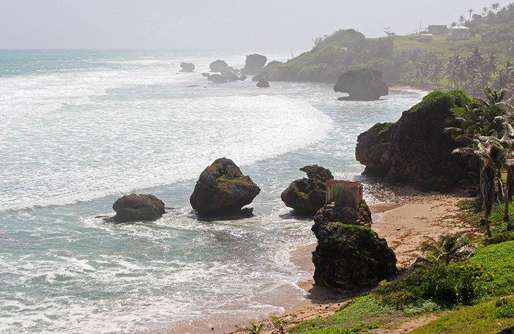 Baie de Bathsheba