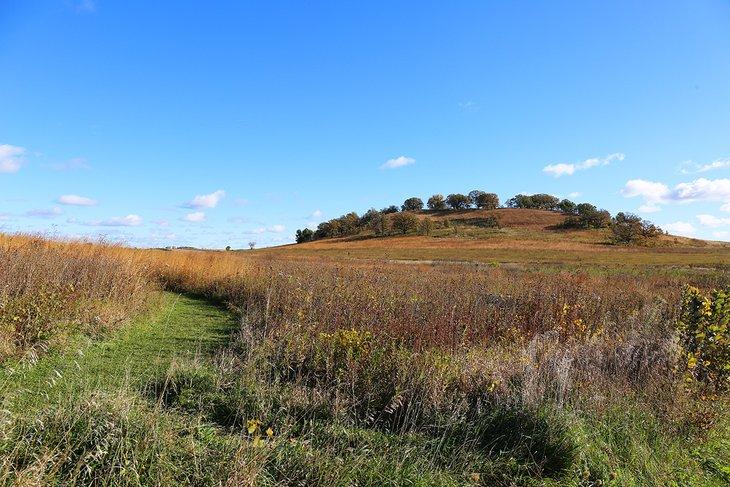 Pheasant Branch Conservancy