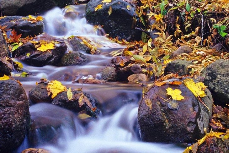 Sendero Parfrey's Glen