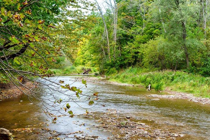 Bronte Creek Provincial Park