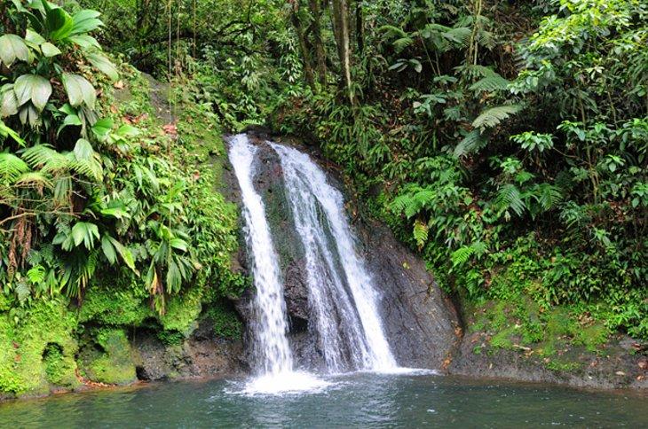 Nationalpark Guadeloupe, Basse-Terre