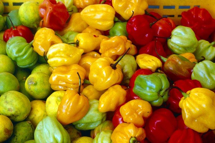 Paprika zum Verkauf in Pointe-a-Pitre