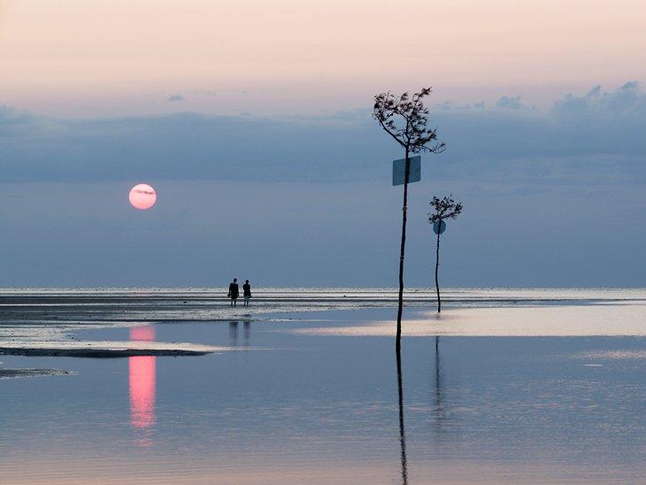Playa Rock Harbor, Orleans