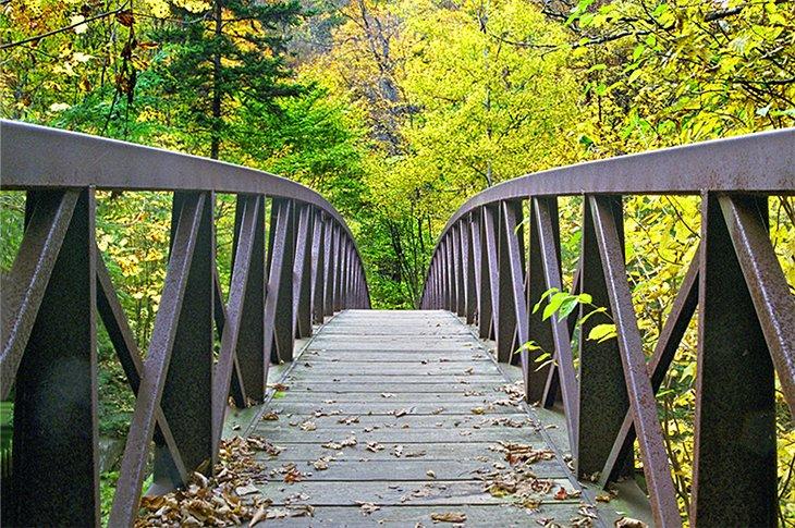 Puente en el Long Trail
