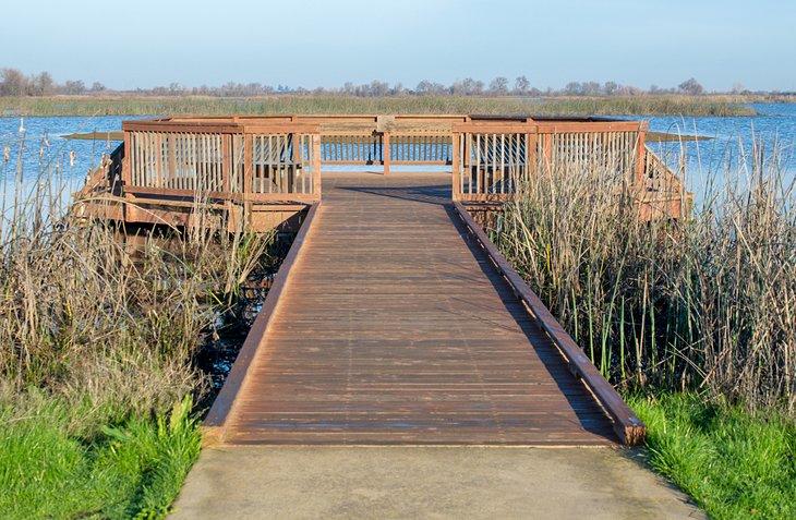 Plataforma de observación de aves en el Cosumnes River Preserve