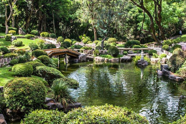 Jardín japonés en el Bosque Colomos