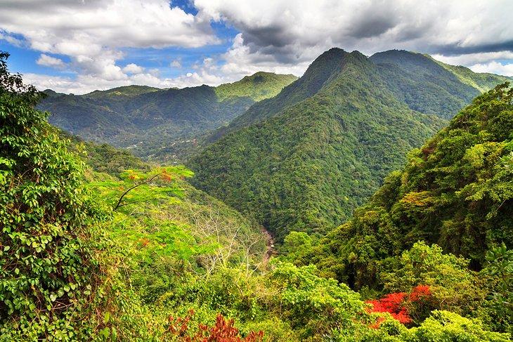 El Yunque Nationalpark