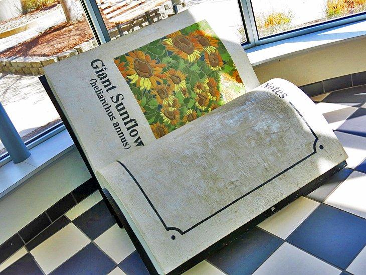 Museo Infantil de Lincoln