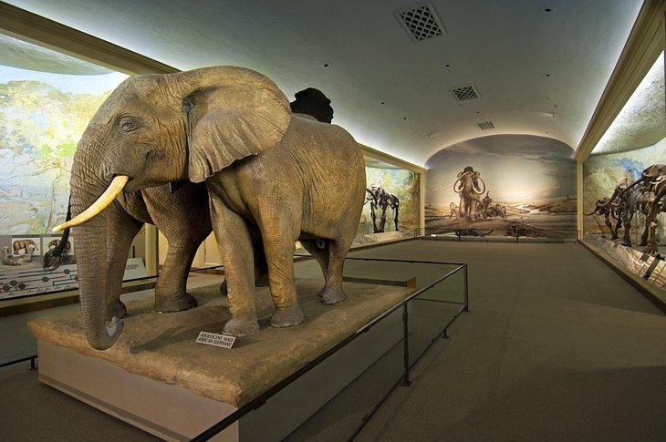 Museo Estatal de Nebraska