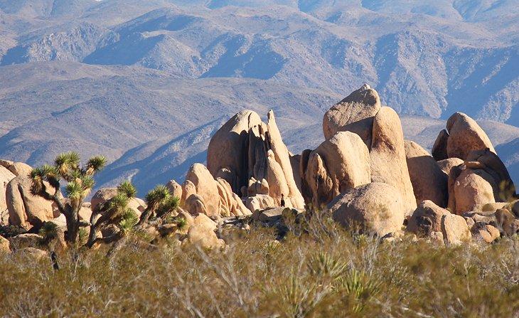 Parque Nacional Joshua Tree