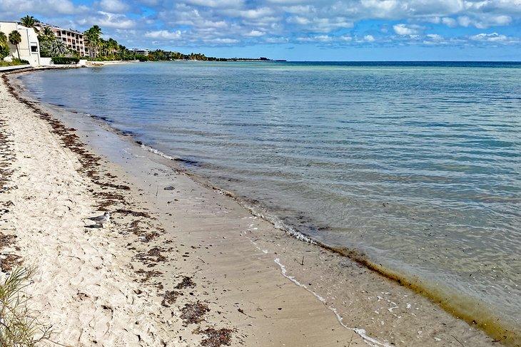 Rest Beach