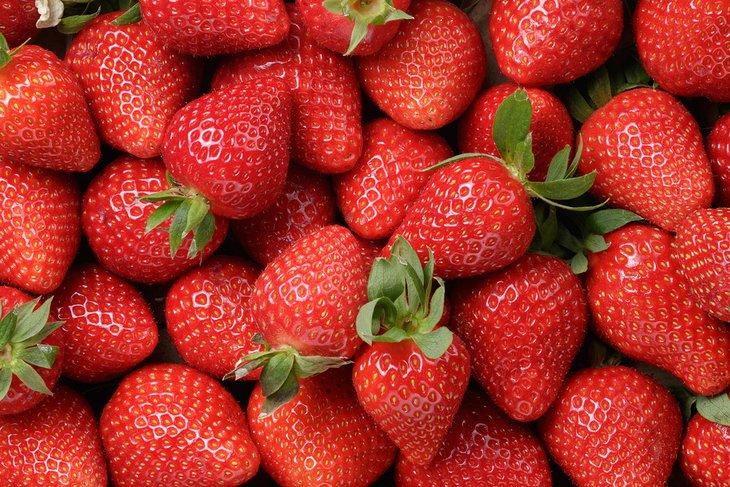 Frisch gepflückte Erdbeeren