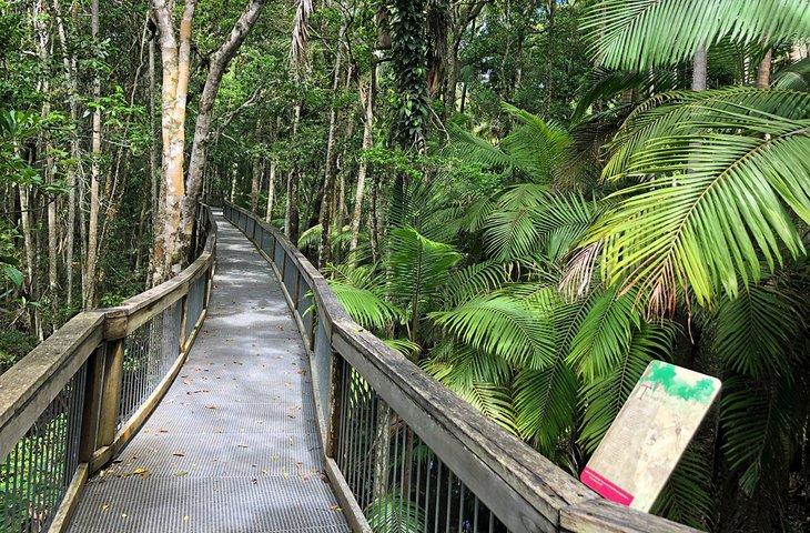 Regenwald-Bordwalk im Sea Acres Nationalpark