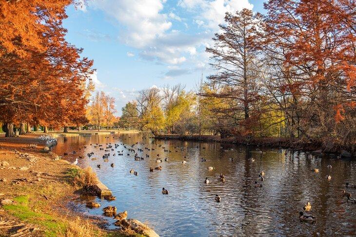 Parque Kathryn Albertson