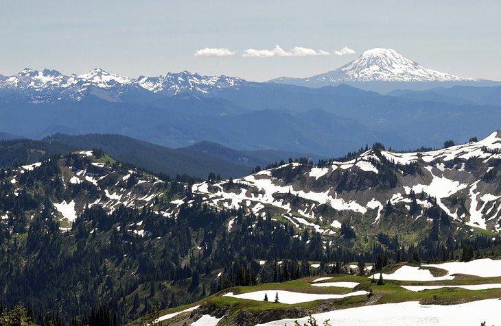 Sendero Wonderland
