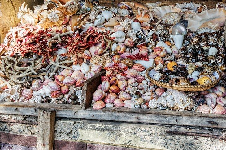 Mercado de Pescados Kivukoni