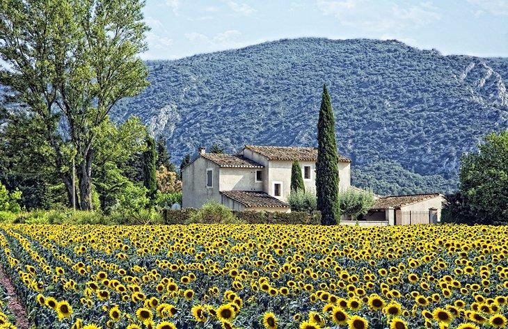 La encantadora campiña de Provenza