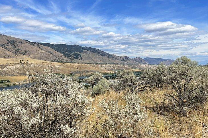 Camping en el país de matorrales de Kamloops