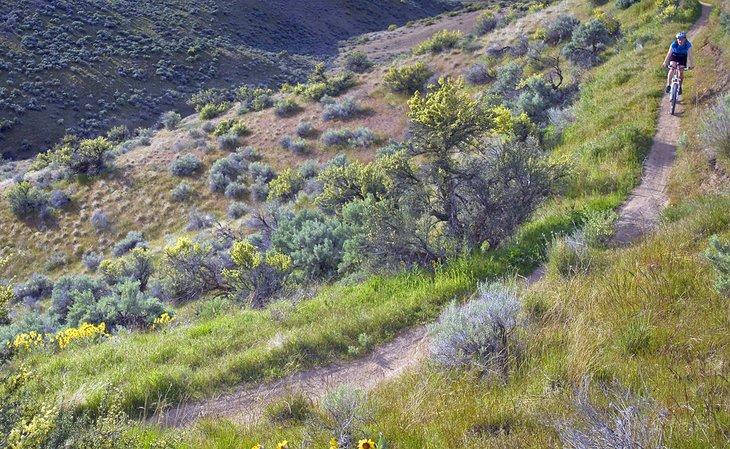 Mountainbiker auf dem Polecat Loop Trail